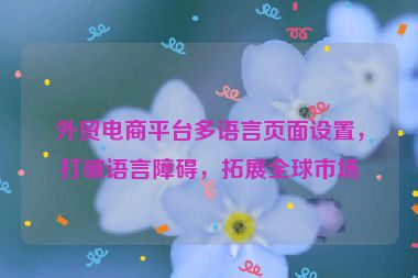外貿電商平臺多語言頁面設置，打破語言障礙，拓展全球市場