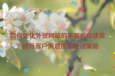 如何優化外貿網站的客服響應速度？提升客戶滿意度的關鍵策略