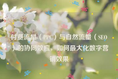 付費流量（PPC）與自然流量（SEO）的協同效應，如何最大化數字營銷效果