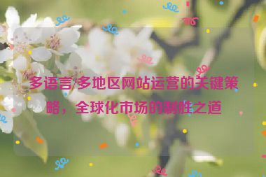 多語言/多地區網站運營的關鍵策略，全球化市場的制勝之道