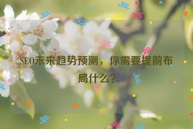 SEO未來趨勢預測，你需要提前布局什么？