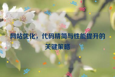 網(wǎng)站優(yōu)化，代碼精簡與性能提升的關(guān)鍵策略