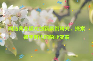 網站商業模式創新案例研究，探索數字時代的商業變革