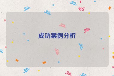 成功案例分析