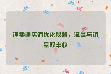 速賣通店鋪優化秘籍，流量與銷量雙豐收