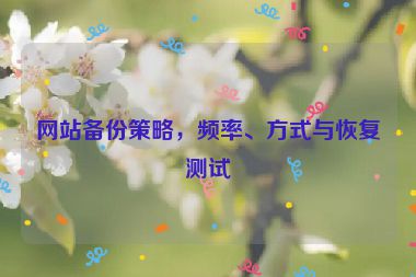 網站備份策略，頻率、方式與恢復測試