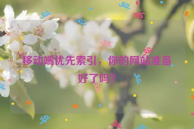 移動端優(yōu)先索引，你的網(wǎng)站準(zhǔn)備好了嗎？