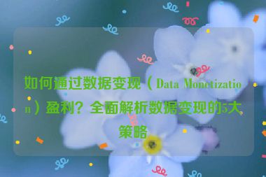 如何通過數(shù)據(jù)變現(xiàn)（Data Monetization）盈利？全面解析數(shù)據(jù)變現(xiàn)的5大策略